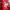 DKNY Vintage Handbag Wanita red photo 5