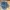 Havaianas Sandal Navy