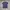 Dickies Vintage Streetwear T-shirt Pria navy photo 1