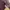 Vintage Y2K Jumper Pria burgundy photo 5