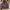 Vintage Y2K Jumper Pria burgundy photo 1