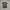 Supreme Streetwear T-shirt Pria gray photo 1