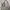 Bomber avirex MA-1 Flight jacket  photo 7