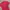 Quiksilver Sportswear T-shirt Pria red photo 3