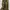 Thule All Trail 25 L photo 2
