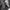 Uniqlo Casual Sweatpants & Joggers Pria black gray photo 4