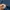 Michael Klein Coquette Casual Crop top Wanita navy black photo 3