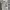 AMIRI Luxury Biker Jeans Pria white photo 6