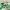 A Bathing Ape Streetwear Casual Sneakers Pria Green