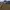 Vintage Y2K Trench coat Pria tan photo 2