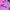 Jersey Hindia LHAB Pink Sun Dong Yang