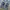 VINTAGE TRUE RELIGION JOEY FLARE JEANS photo 4