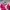 Tyrolia by Head Vintage Racing Jacket photo 2