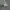 Nike Sportswear Casual Sneakers Pria white photo 1