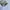 Spao corduroy Casual Puffer jacket soft blue boxy fit photo 8
