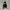 Ben Davis Casual Windbreaker Pria black photo 3
