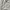 Casual Midi dress Wanita gray photo 2