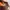 Timberland 3 Eye Lug Boat Shoe photo 4