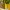 Nego Preloved Goyardine Yellow Saint Louis PM Tote Bag Palla photo 3