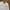 Tommy Hilfiger Minimalist Casual Formal shirt Pria white photo 3