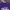 Tshirt Dickies Purple photo 6