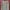 H&M Minimalist Casual Sweatshirt Kids Green