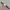 Pluriarma cotton belt photo 3