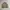 Burberry Luxury Casual Harrington jacket Pria tan photo 5