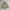 Burberry Luxury Casual Harrington jacket Pria tan photo 1