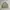Burberry Luxury Casual Harrington jacket Pria tan photo 7