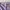 Rok Lilac Unik
