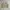 Nepenthes Vintage Casual Harrington jacket Pria tan photo 1