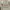 Nepenthes Vintage Casual Harrington jacket Pria tan photo 5