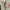 Nepenthes Vintage Casual Harrington jacket Pria tan photo 3