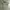 Japanese brand Streetwear Casual Formal shirt Pria green photo 2