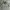 Japanese brand Streetwear Casual Formal shirt Pria green photo 3