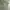 Japanese brand Streetwear Casual Formal shirt Pria green photo 5