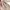 Y2K Casual Sweatshirt Pria khaki photo 5
