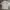 Japanese brand Streetwear Formal shirt Pria tan cream photo 5
