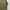 Muji Japan Sage Green Fatigue Cotton Oxford Button Down Shir photo 3