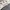 Casual Sweater Pria gray cream photo 4