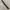Vintage leather belt photo 3