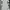 Y2K Coquette Midi dress Wanita white photo 3