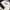 Atasan Crop