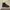 RM Williams Chelsea Boots