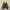 Red Wing 9095 Chukka boots photo 3