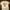 Beige Graphic Tee