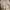 bootcut pants brand jepang  photo 3