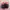 Adidas Indie Casual Sneakers Pria multicolor black photo 4