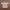 Based Club Muslim Formal shirt Pria brown photo 1